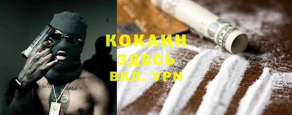индика Баксан