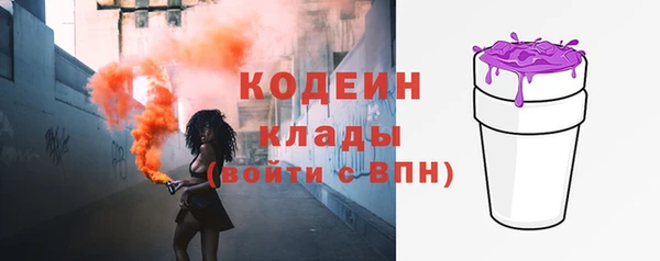 индика Баксан
