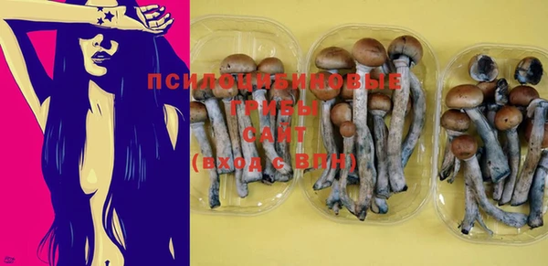 индика Баксан