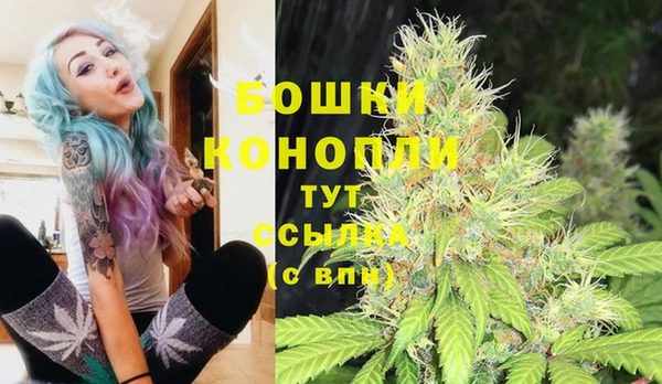 СК Балахна