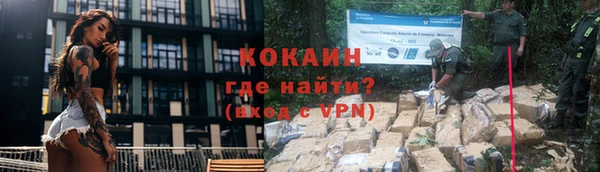 индика Баксан