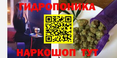 СК Тара