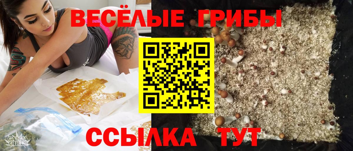 Галлюциногенные грибы Cubensis Нерюнгри